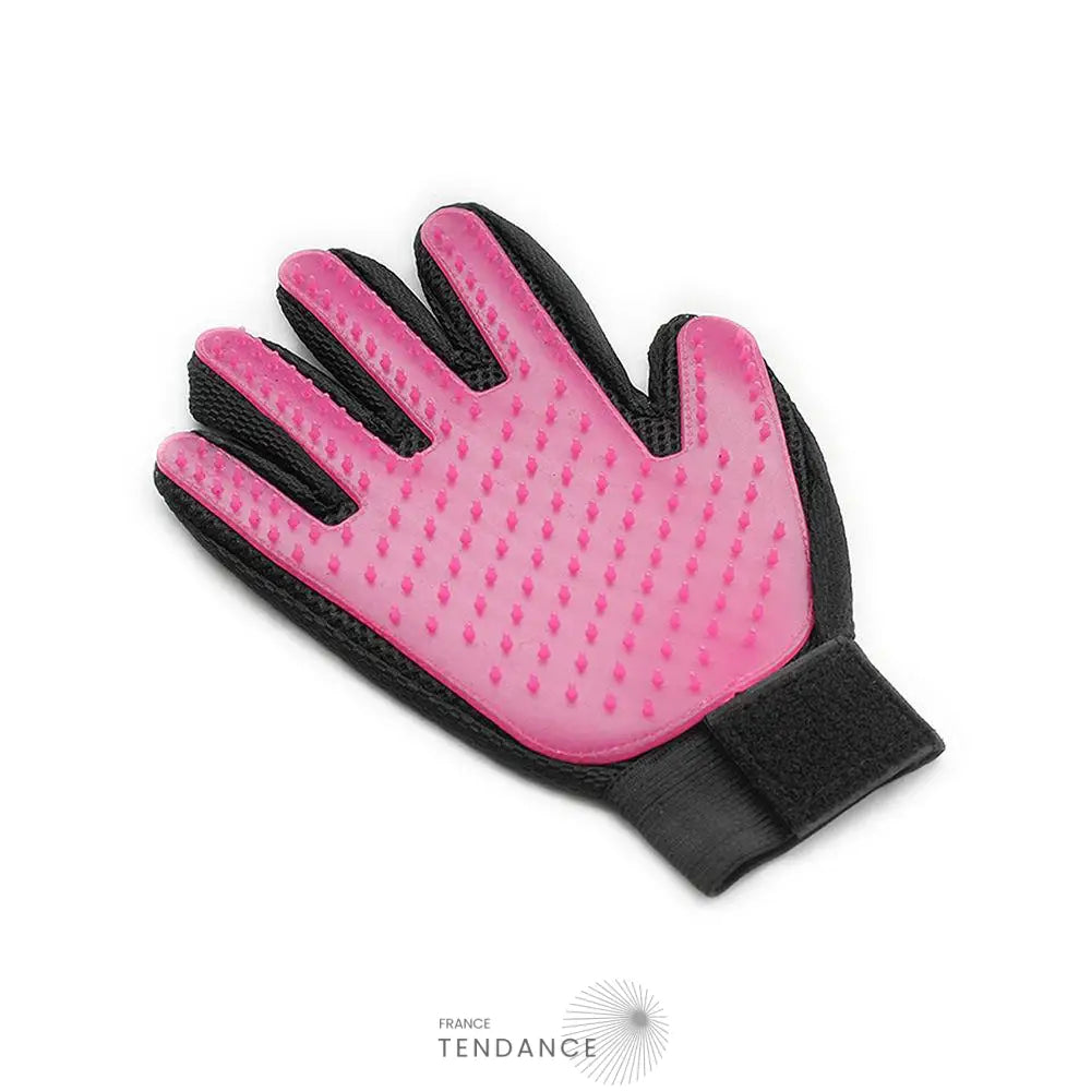 Gant De Massage Et Toilettage Pour Chat Chien |