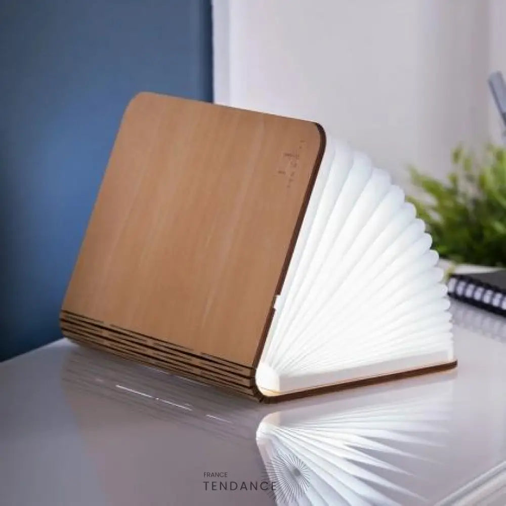 Lampe Livre Lumineux Gonku™ | France-Tendance