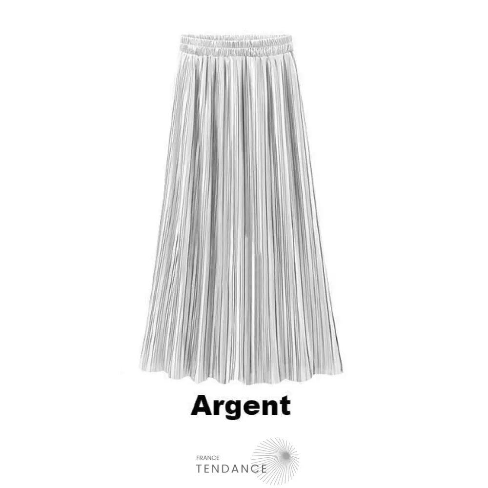 Longue Jupe Plissée Métallique | France-Tendance