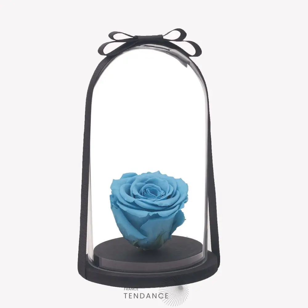 Rose éternelle Bleu Ciel Sous Cloche | France-Tendance
