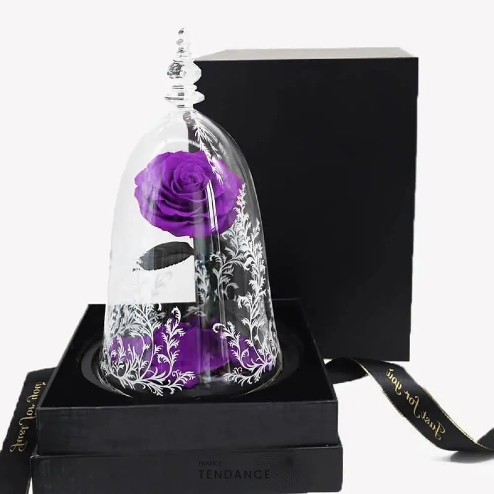 Rose éternelle Sous Cloche & En Boîte La Belle Et Bête