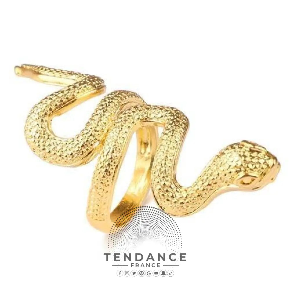 Bague Dark Snake | France-Tendance