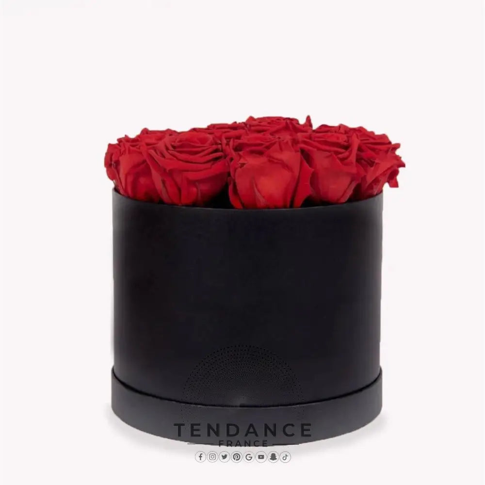 Bouquet 6 Roses éternelles Rouges | France-Tendance