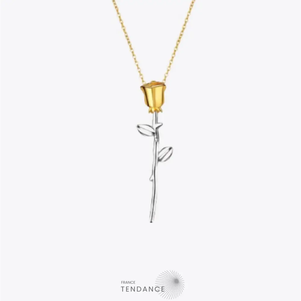 Collier Rose éternelle Argent | France-Tendance