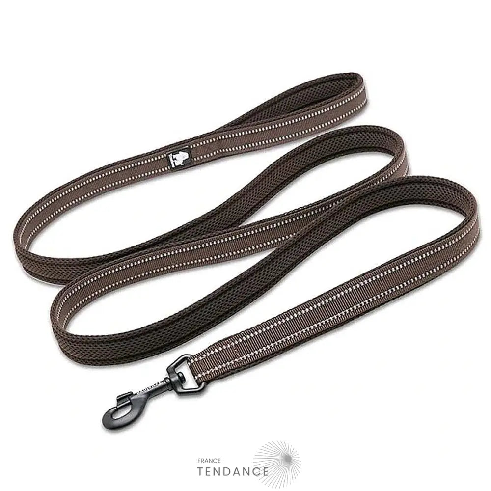 Laisse Lumineuse Réfléchissante | France-Tendance