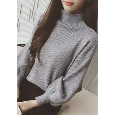 Pull Turtleneck | France-Tendance