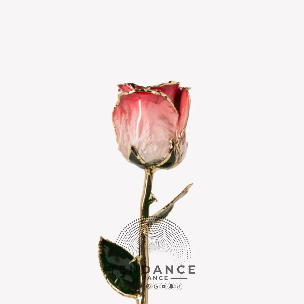 Rose En Or Blanche Et | France-Tendance