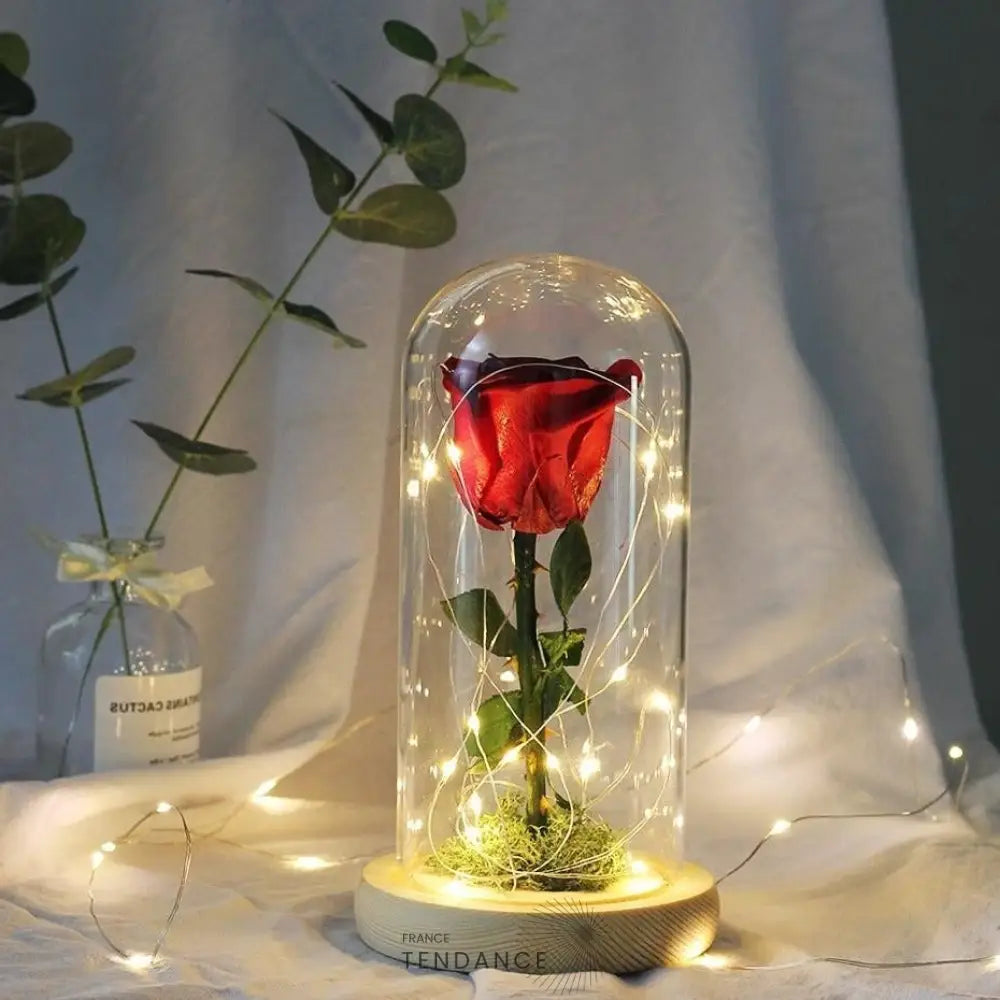 Rose éternelle Sous Cloche Lumineuse Rouge | France-Tendance
