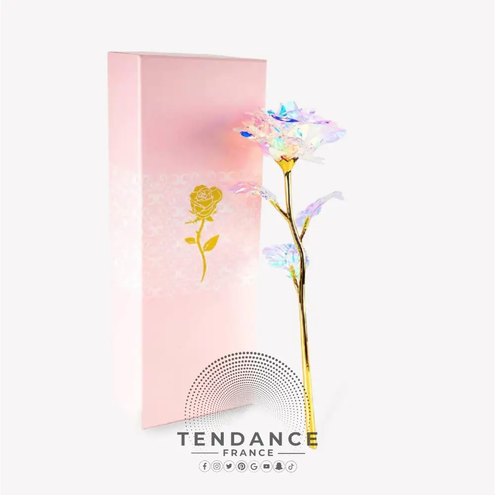 Rose Galaxy | France-Tendance