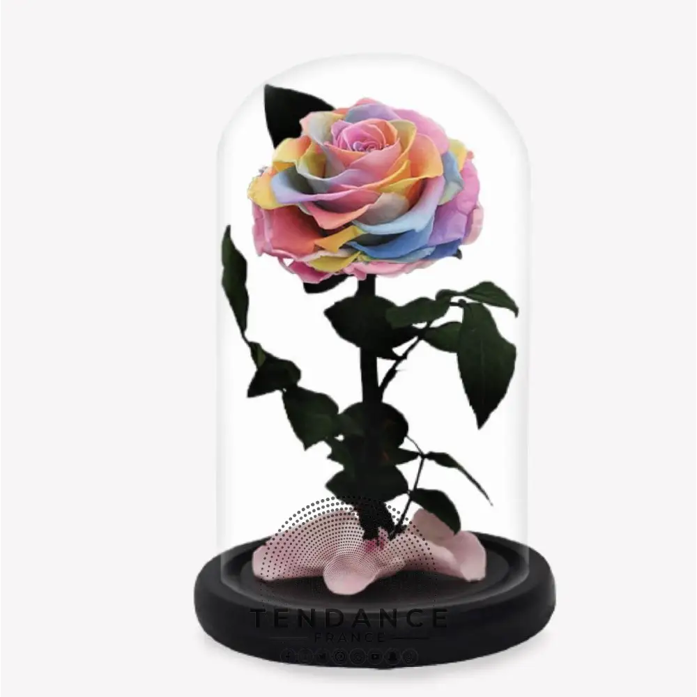 Rose Stabilisée Multicolore | France-Tendance
