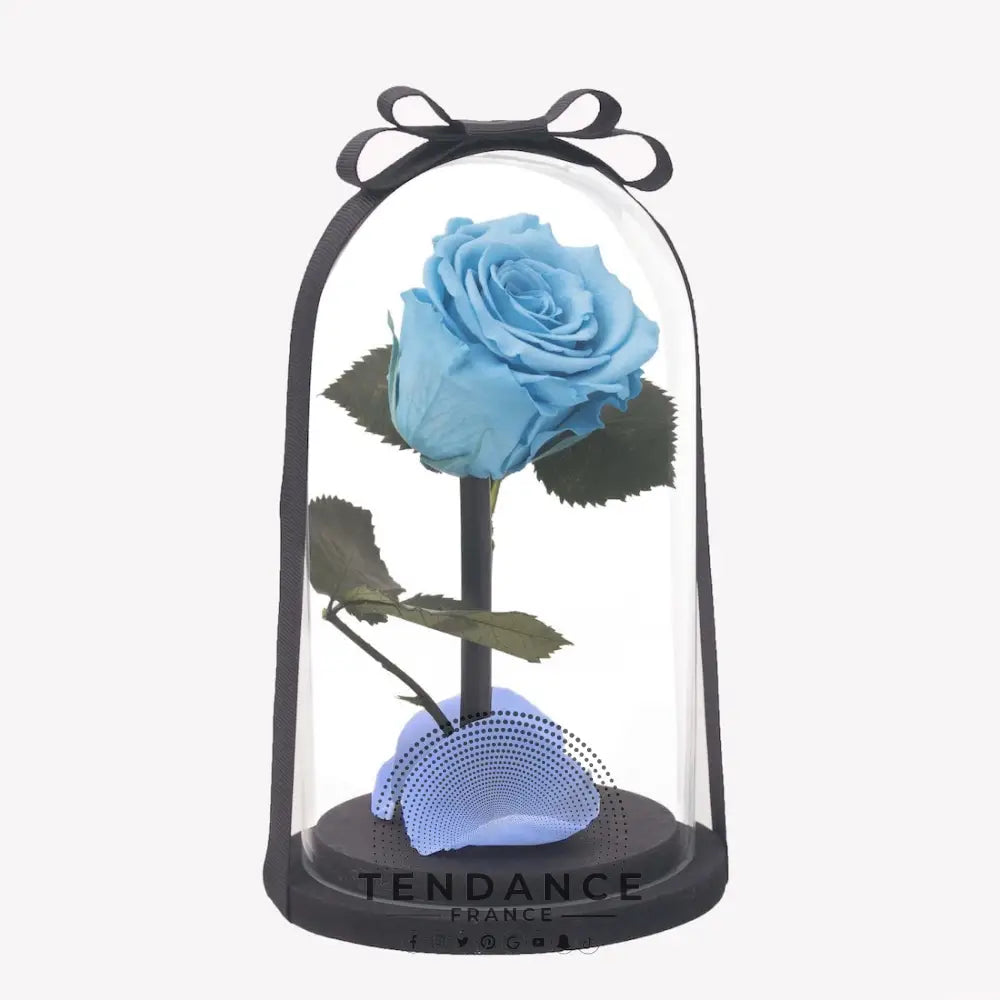 Rose éternelle Bleu Ciel | France-Tendance