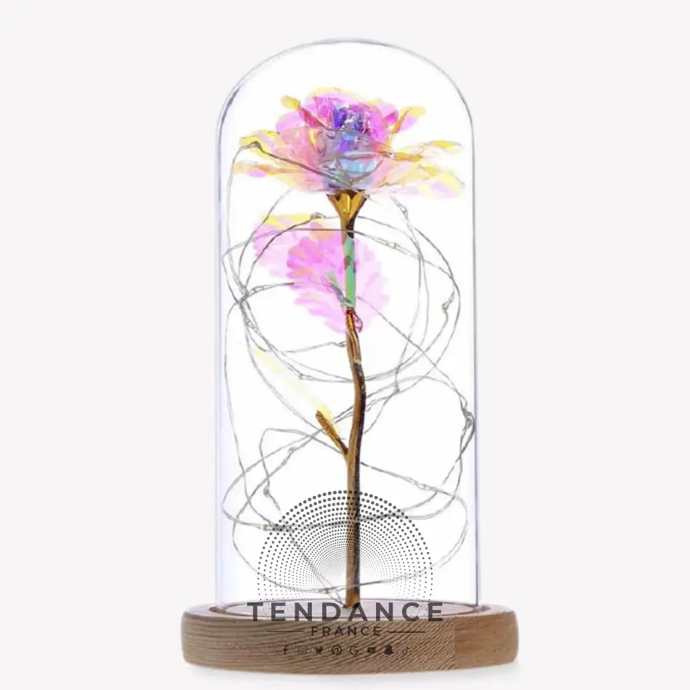Rose éternelle Lumineuse | France-Tendance