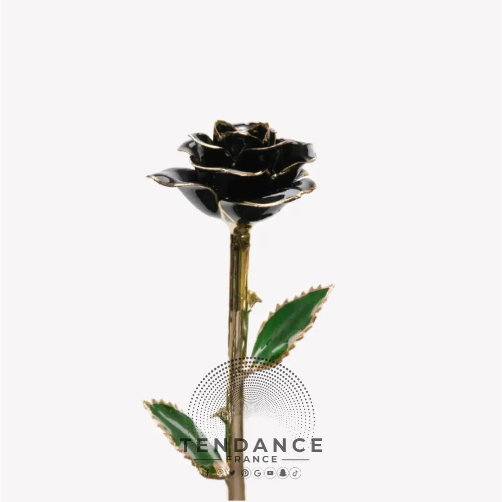Rose éternelle En Or Noire | France-Tendance