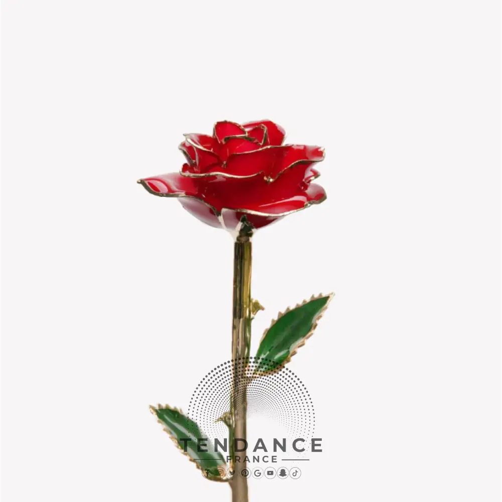 Rose éternelle En Or Rouge | France-Tendance