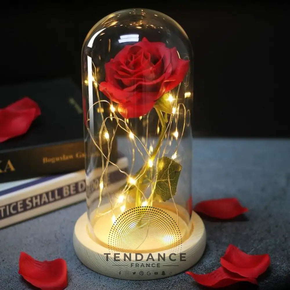 Rose éternelle Spéciale St Valentin | France-Tendance